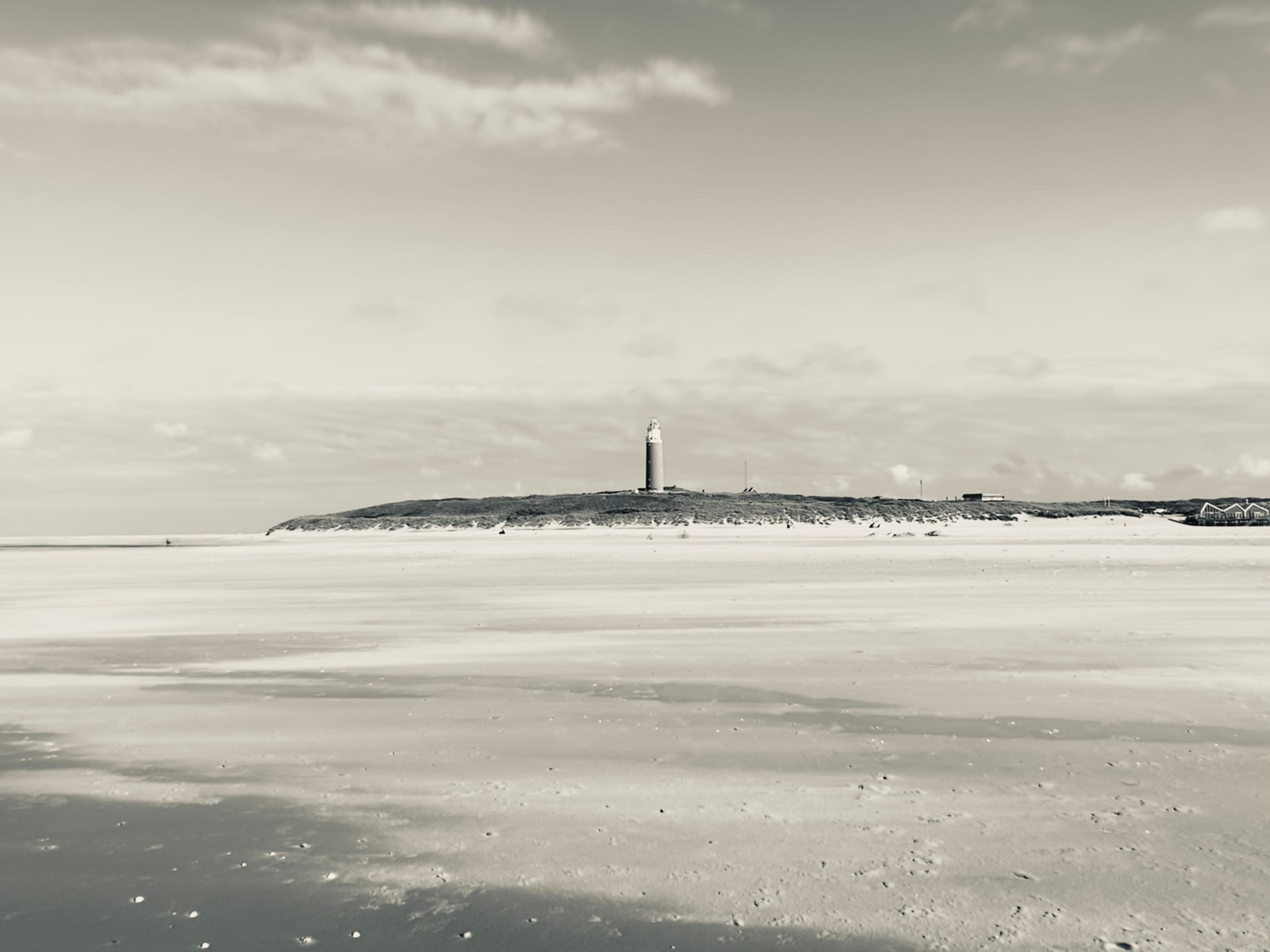 Texel