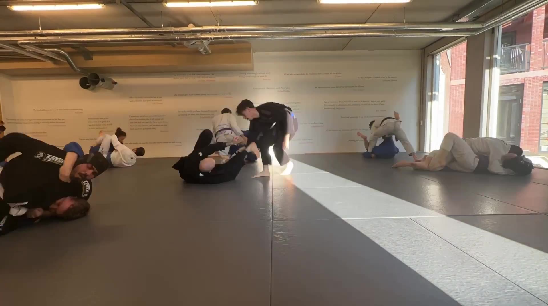 #BJJ