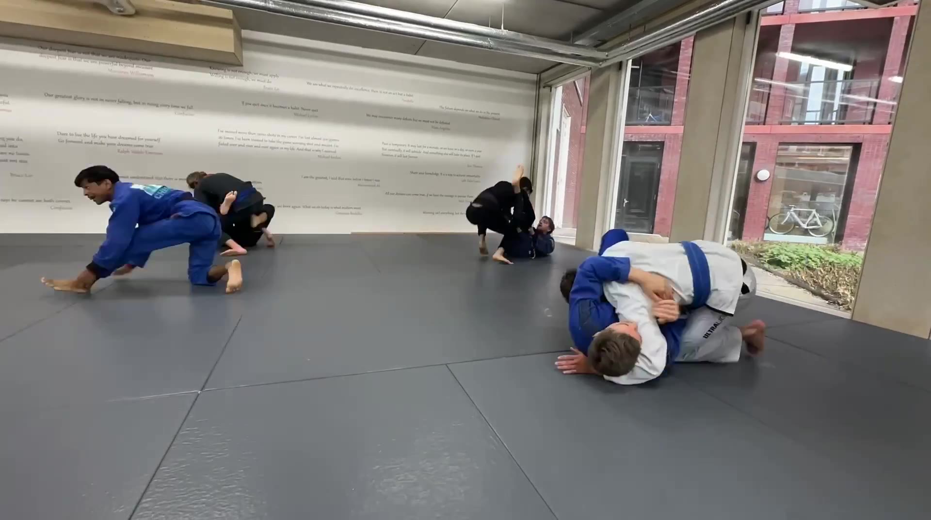#BJJ