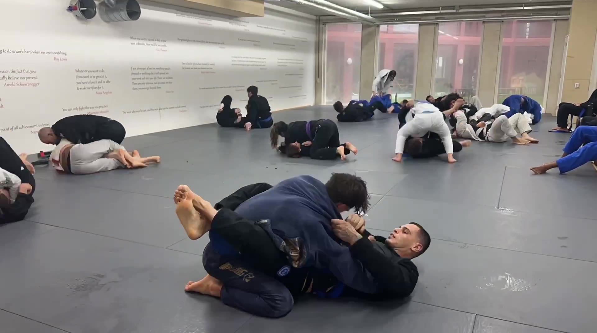 #BJJ