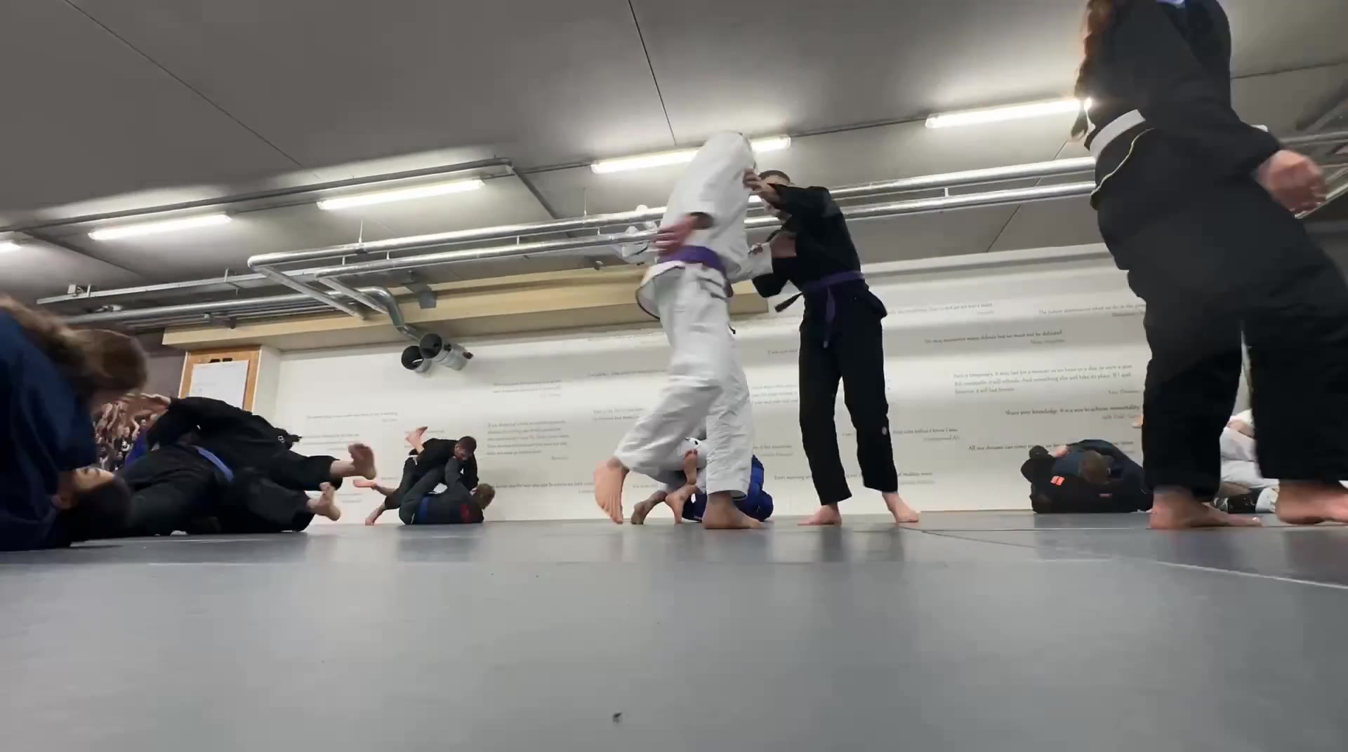#BJJ