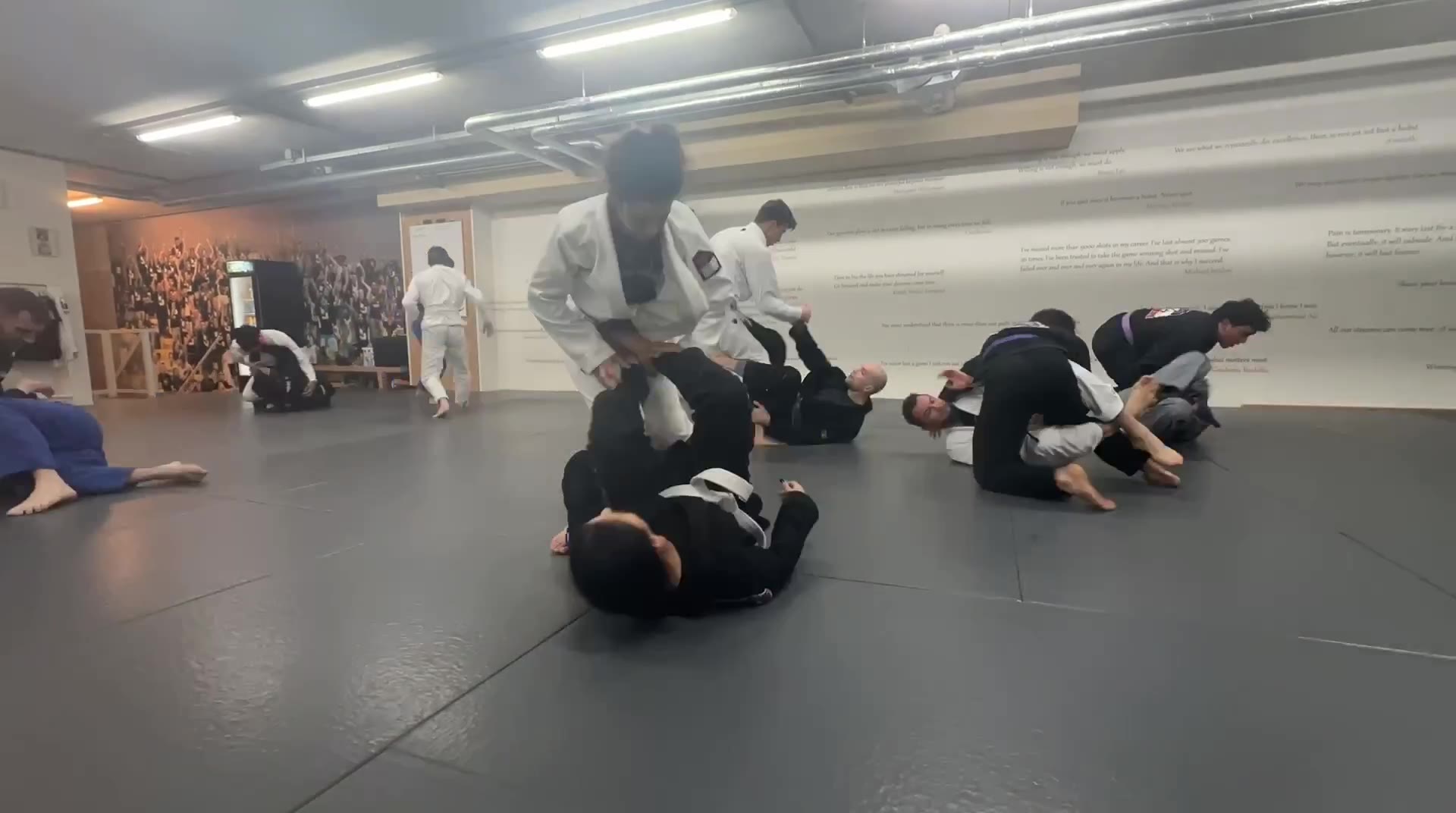 #BJJ