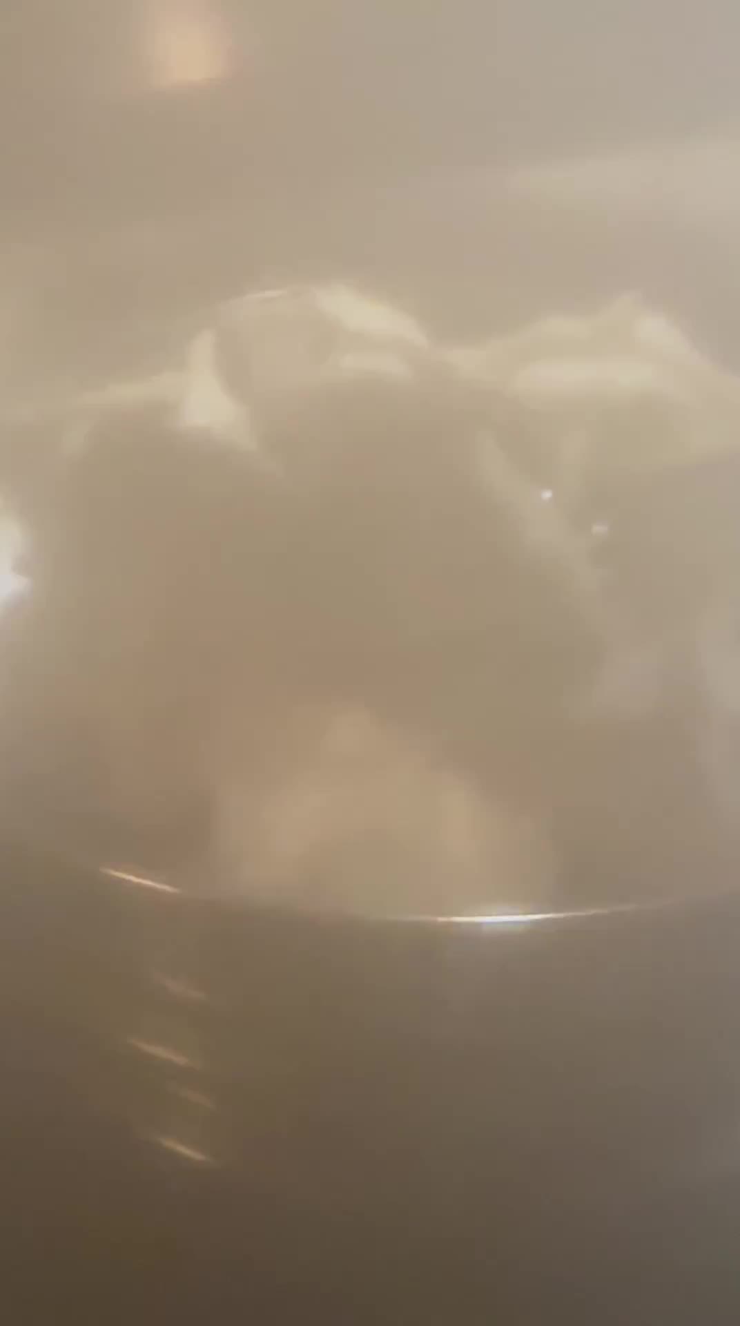 Видео от 20.11.2022