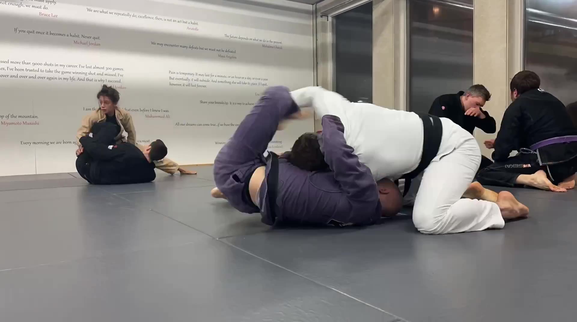 #BJJ