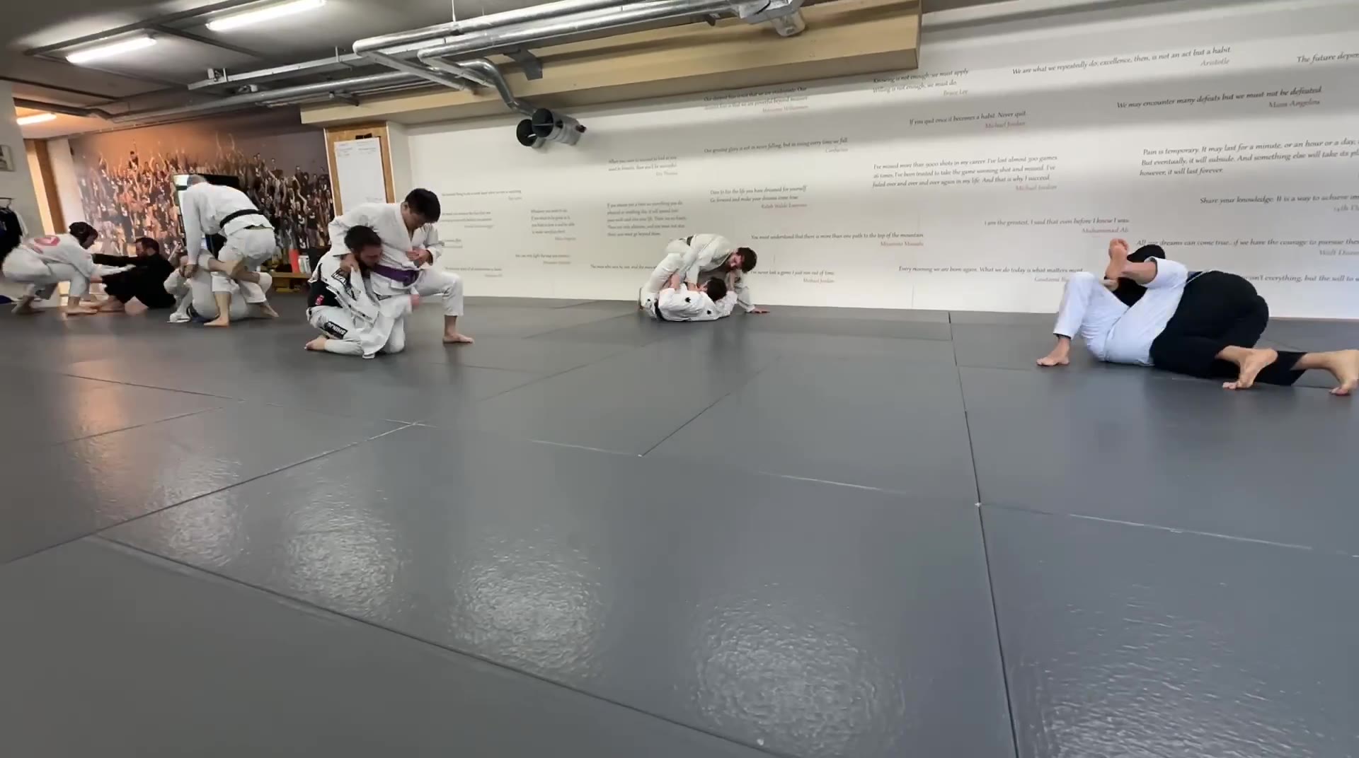 #BJJ