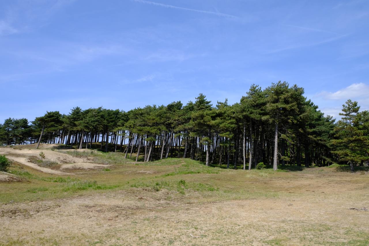 #zandvoort