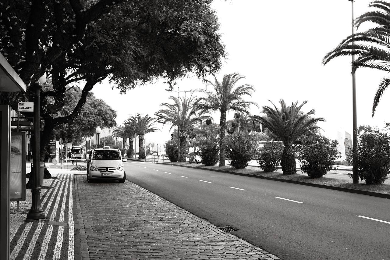 Madeira #cinematiclife