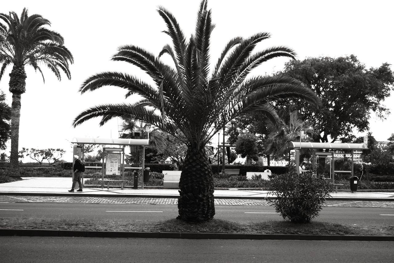 Madeira #cinematiclife