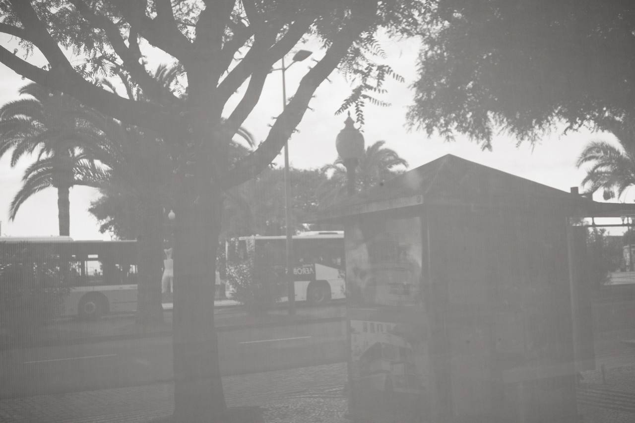 Madeira #cinematiclife