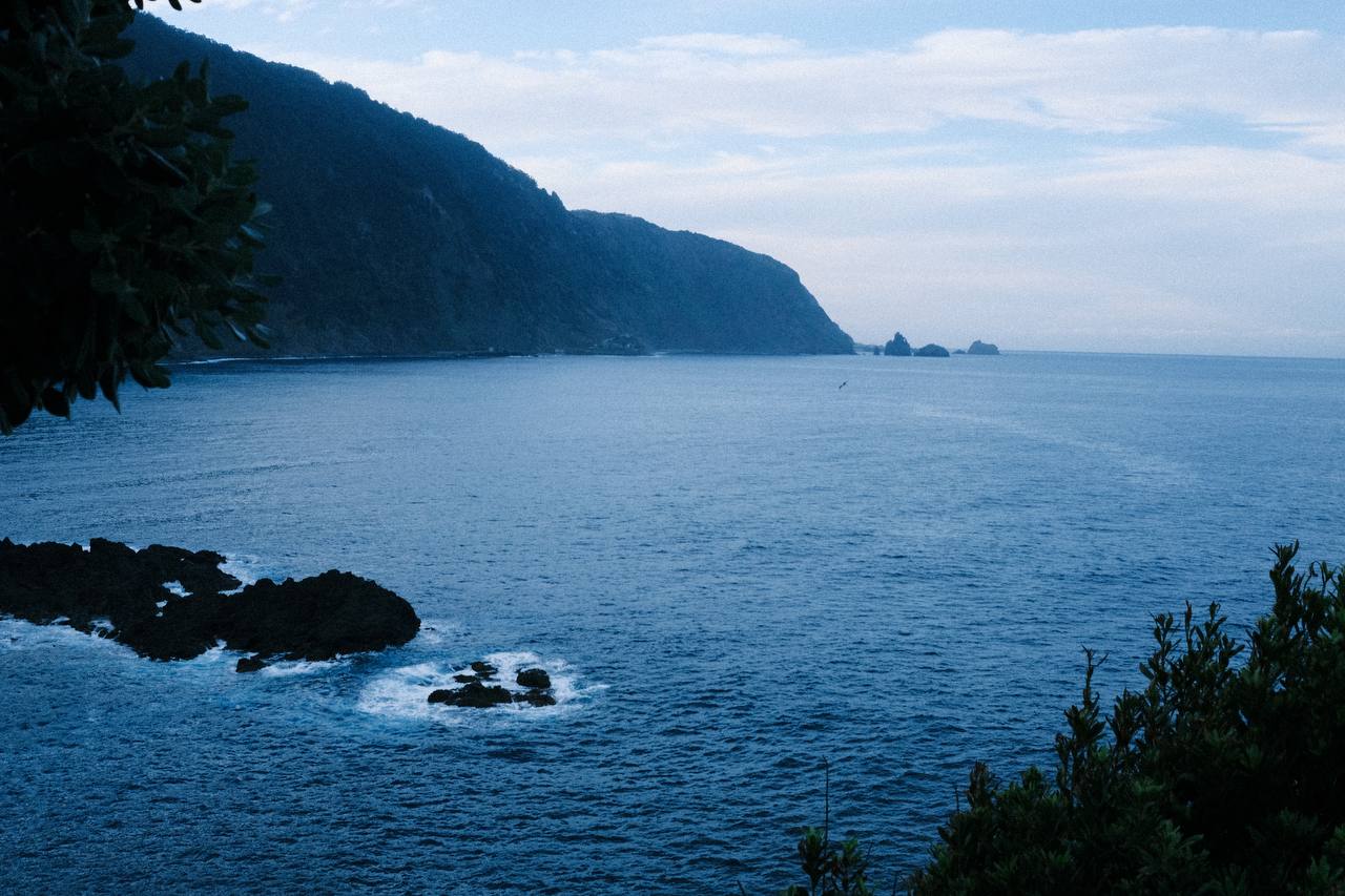 Madeira #cinematiclife