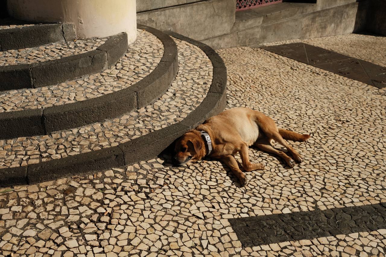 Madeira #cinematiclife