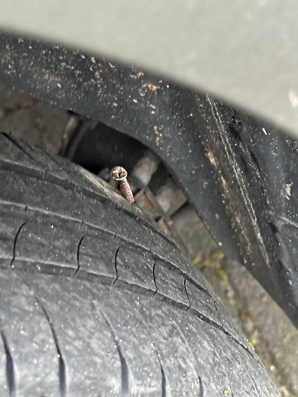 I went to throw out the trash by car, and here’s what happened.