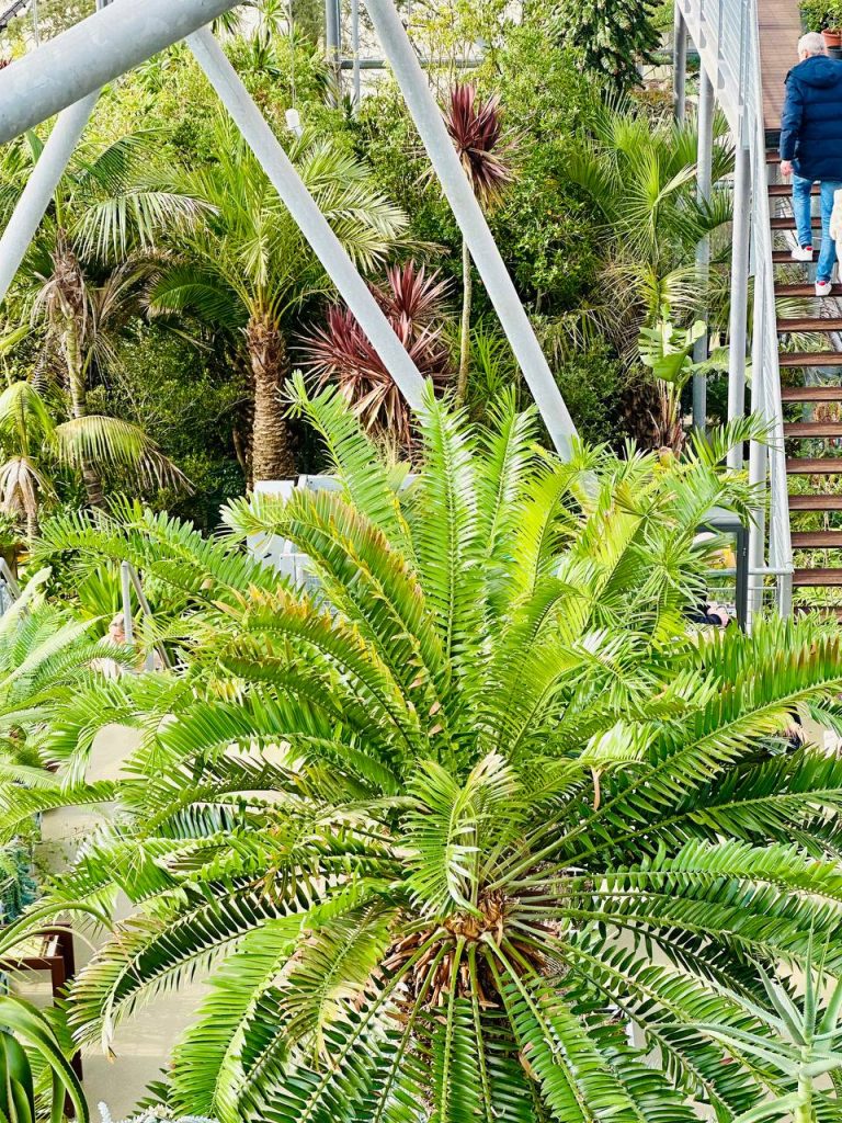 Botanic Garden.