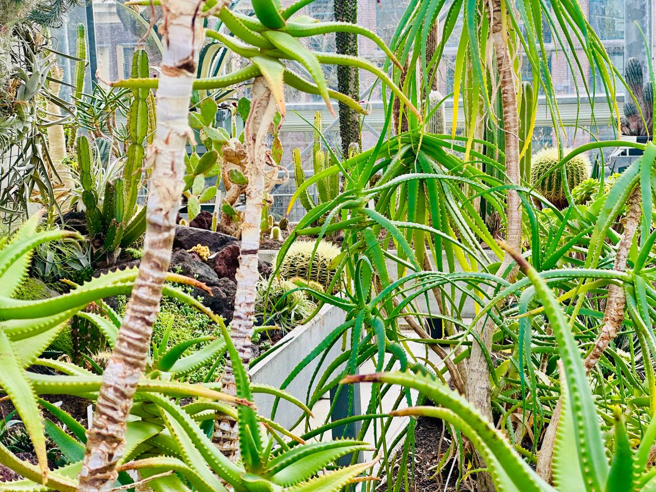 Botanic Garden.
