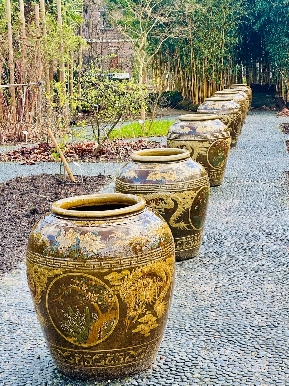 Botanic Garden.