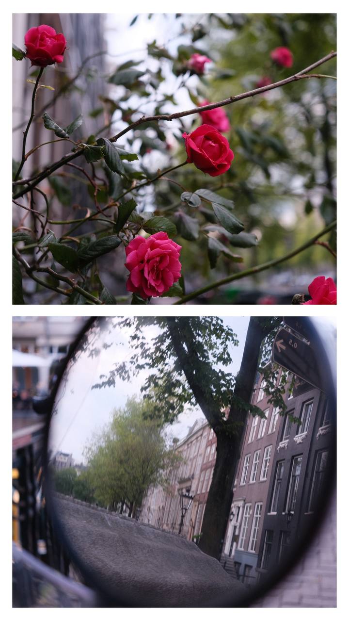 #amsterdam #colors #city #walk