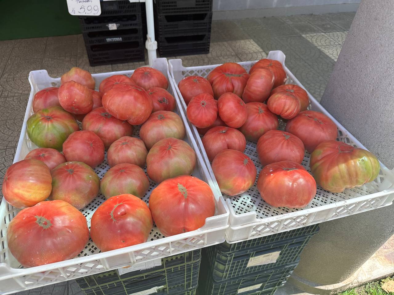 Weekly food selection.