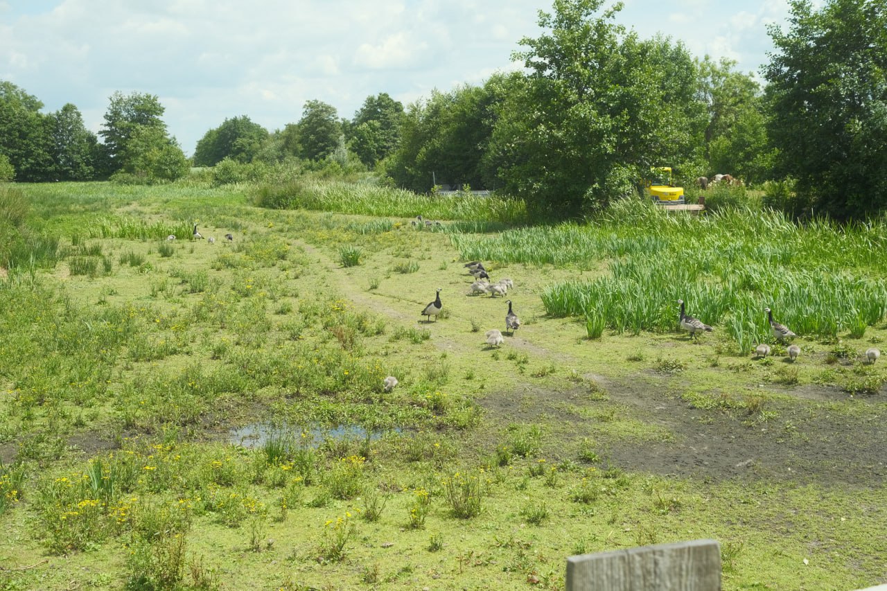 Giethoorn #cinematiclife