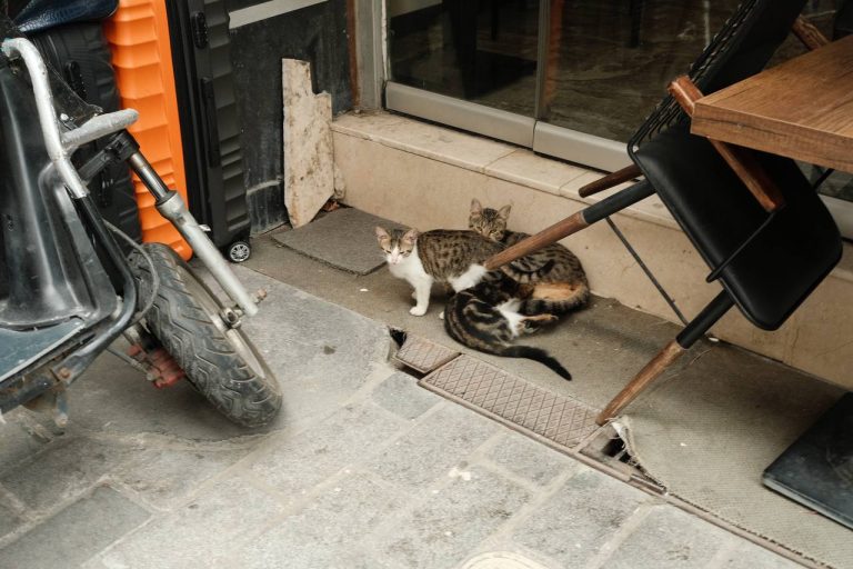 Istanbul #cinematiclife