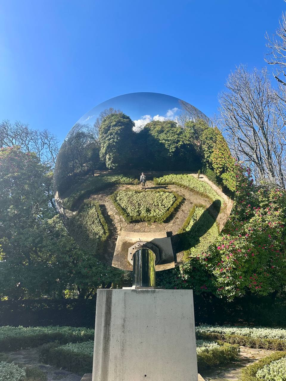 Afternoon outing to Parque de Serralves.