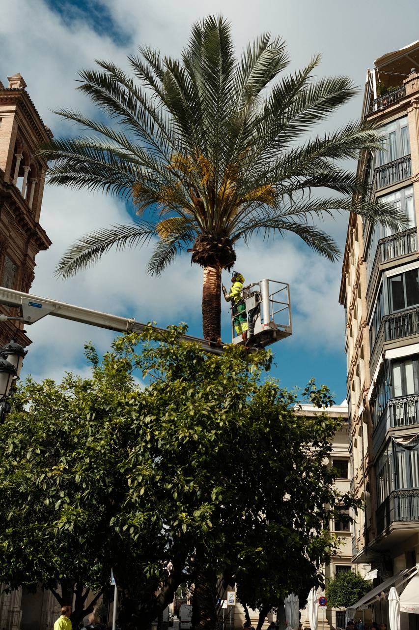 Seville #cinematiclife