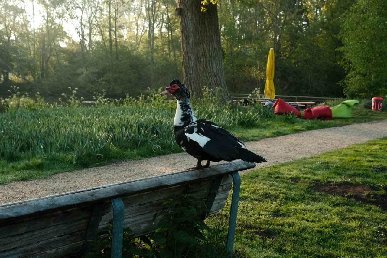 Amsterdam Amstel #cinematiclife