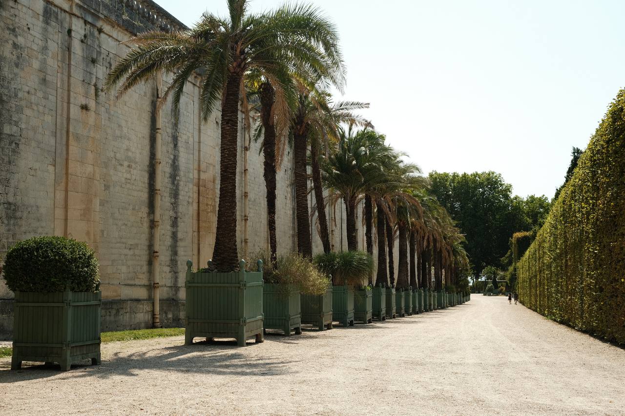 #cinematiclife Versailles