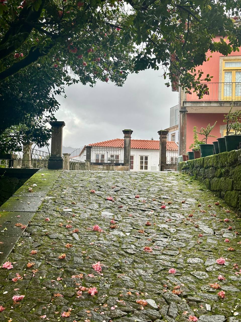 Ponte de Lima