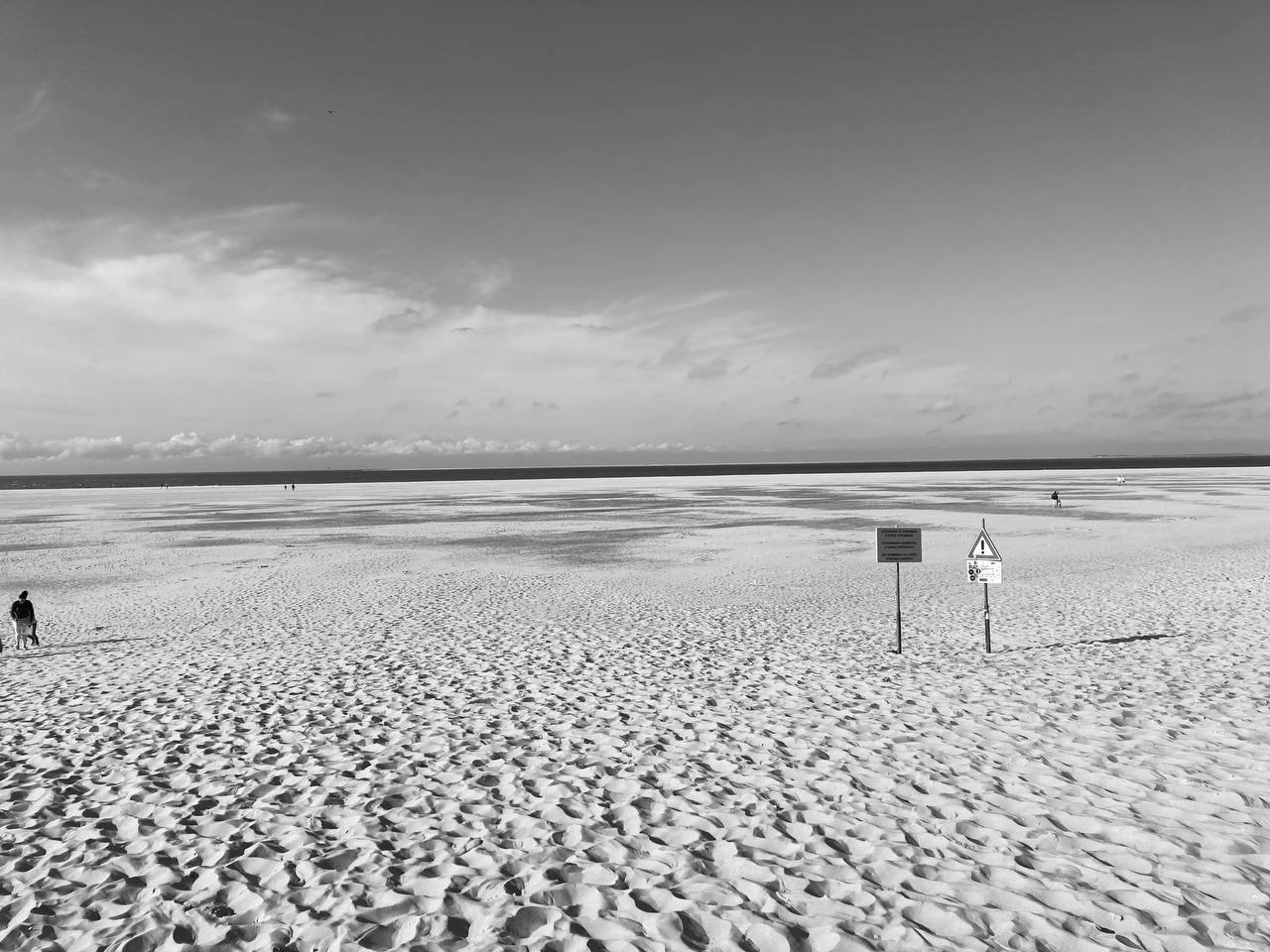 #texel #netherlands
