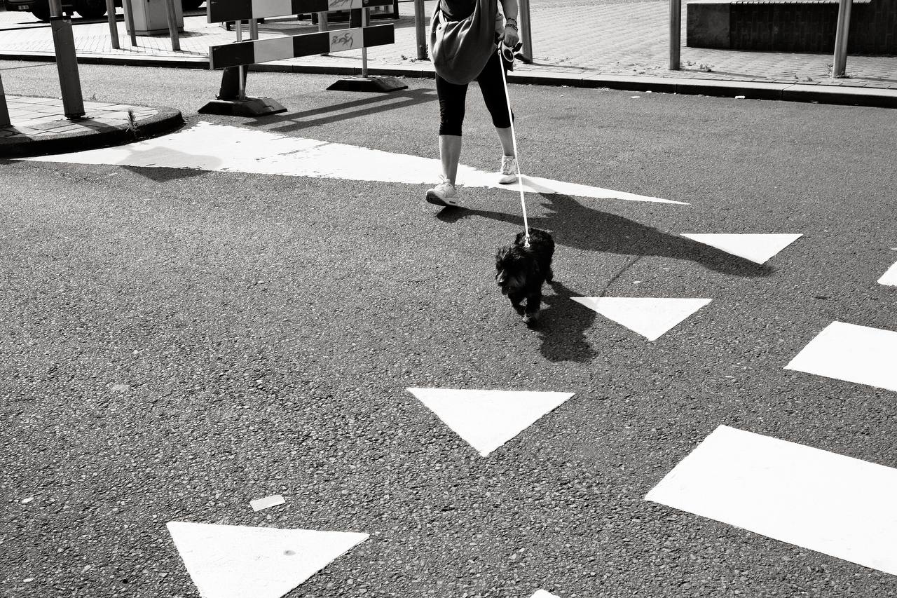 #amsterdam #walk
