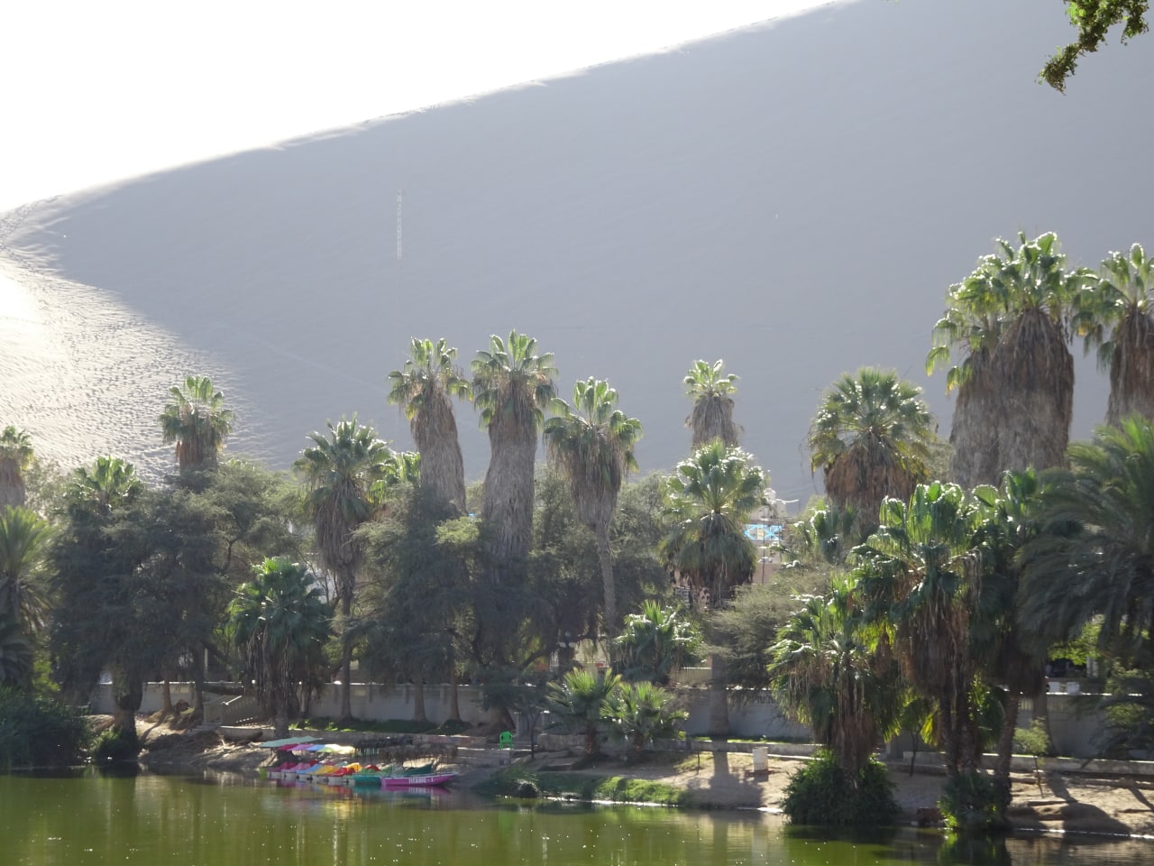 #Peru #Huacachina #2019