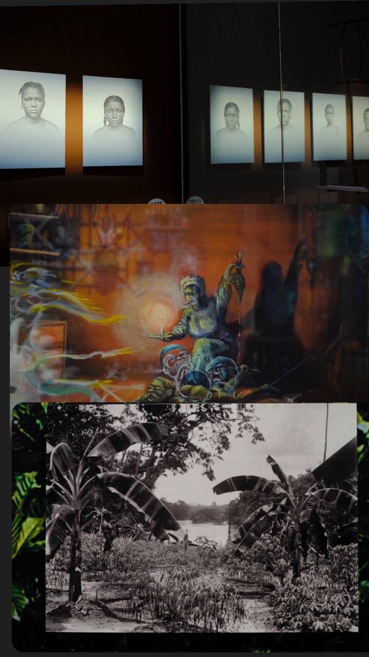 #museum #tropicanmuseum