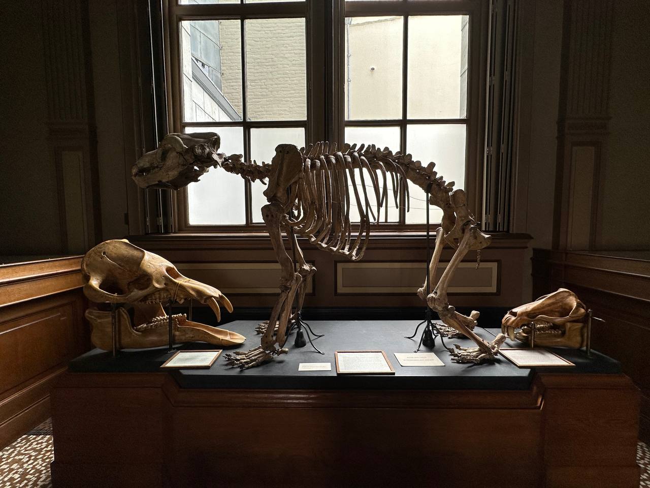 #TeylersMuseum