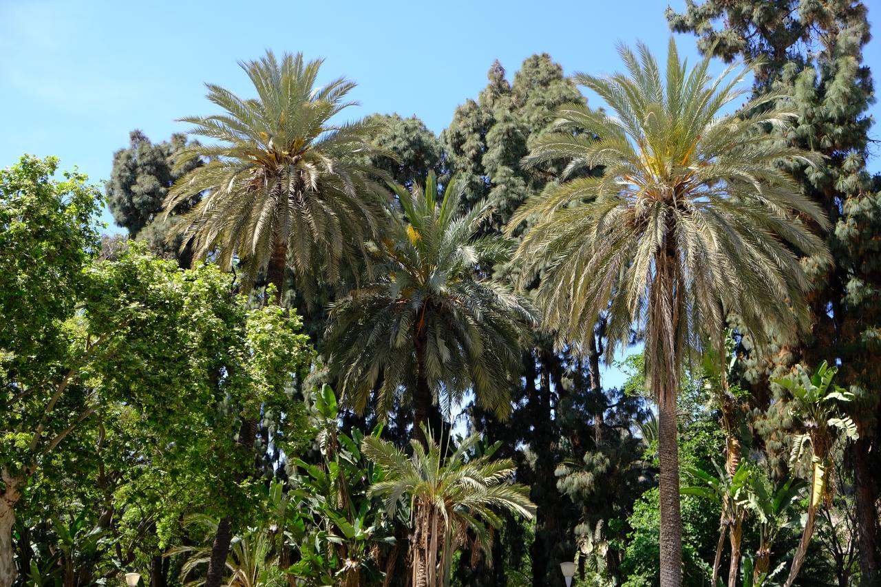 #spain #malaga