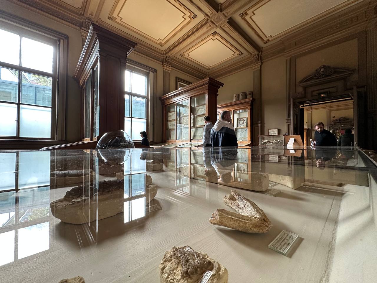 #TeylersMuseum