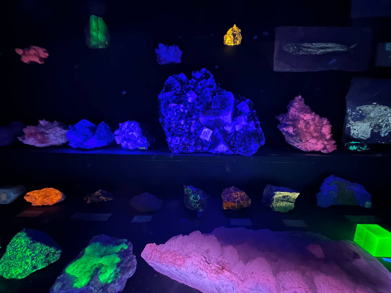 #TeylersMuseum