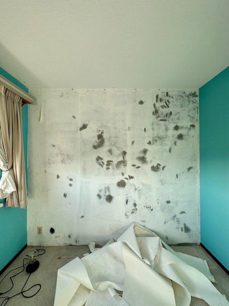 Ripping off wallpaper is such a therapeutic activity.