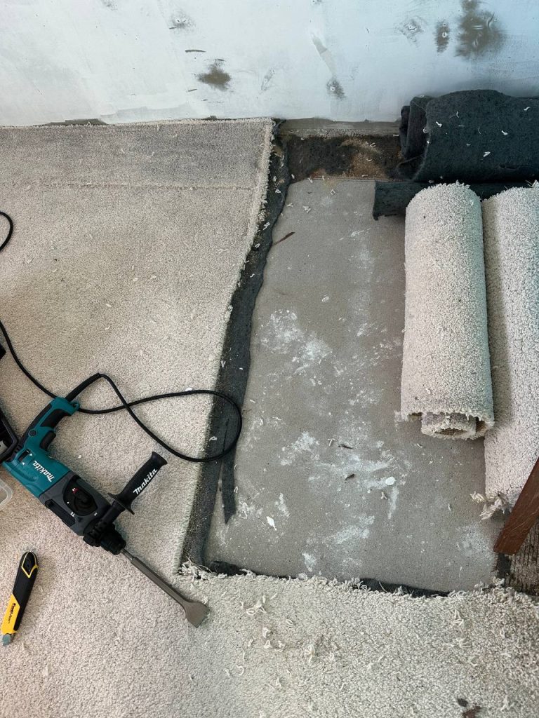 Started tearing off the carpeting