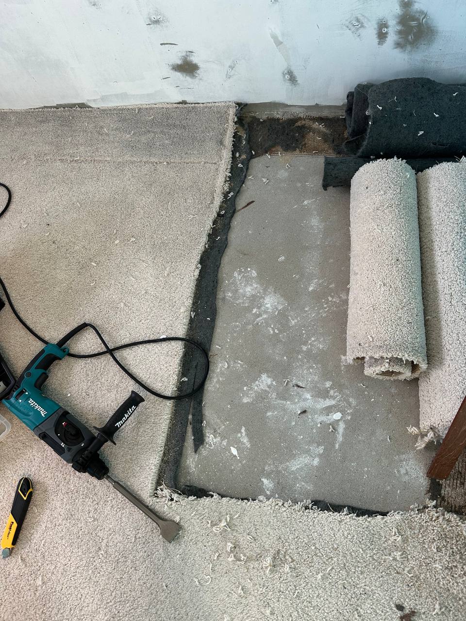 Started tearing off the carpeting