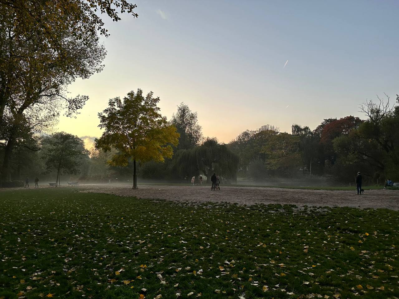 #walk #amsterdam #cinematiclife Sarphatipark