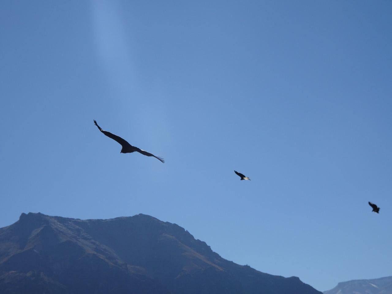 #peru #salkantay