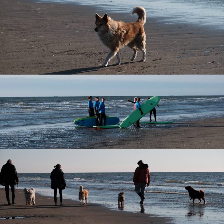 #netherlands #zandvoort