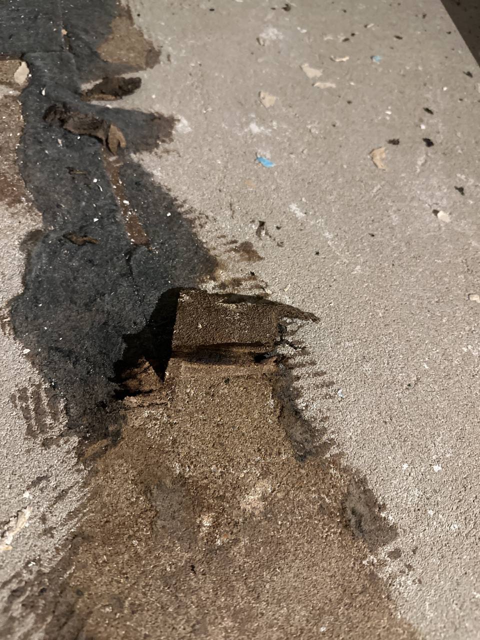 Ночное доотдирание злоебучей подстилки