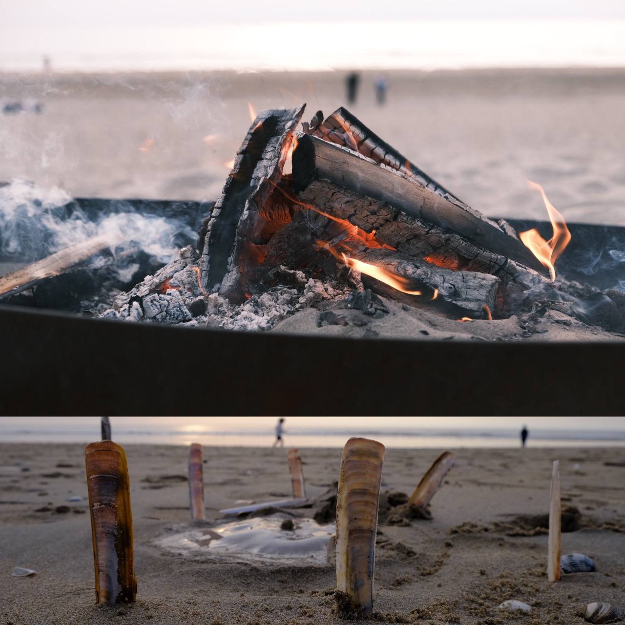 #zandvoort #netherlands