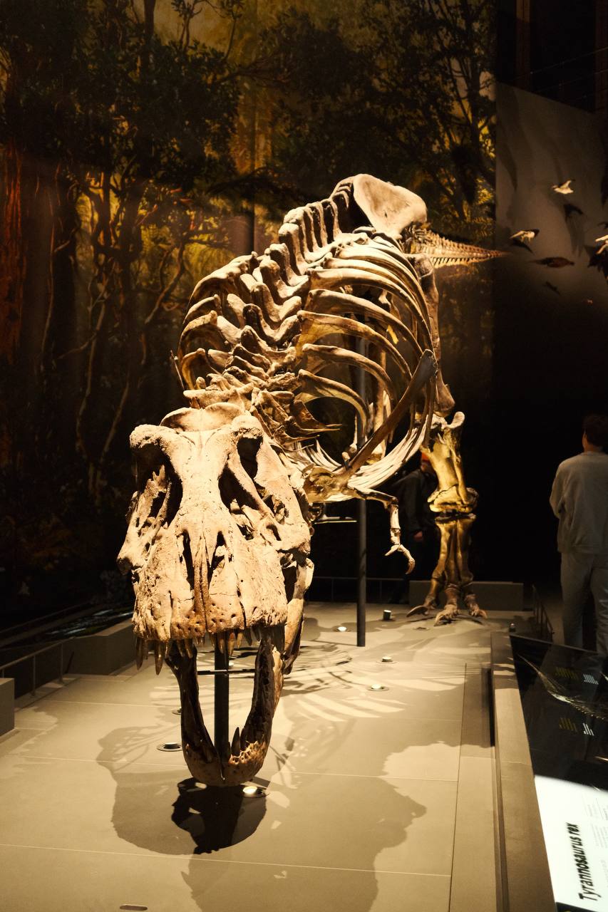 Naturalis Biodiversity Center #cinematiclife