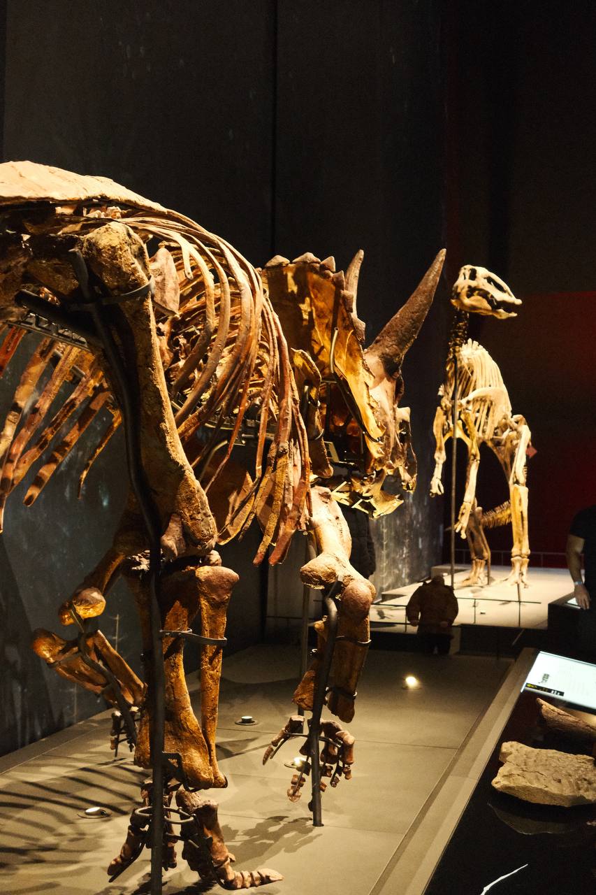 Naturalis Biodiversity Center #cinematiclife
