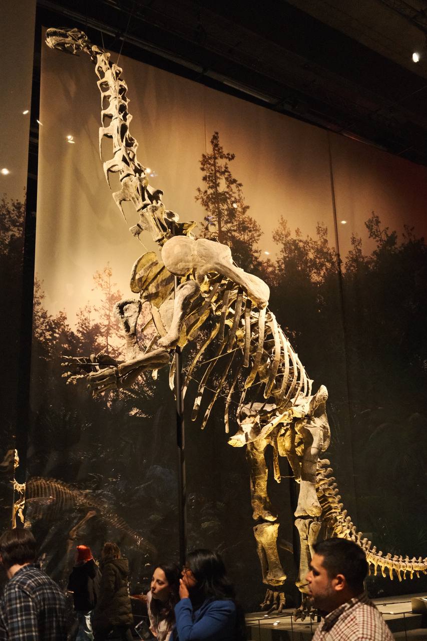 Naturalis Biodiversity Center #cinematiclife