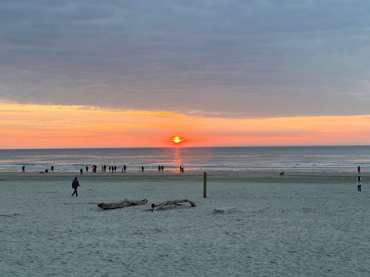Zuid-Kennemerland National Park #cinematiclife