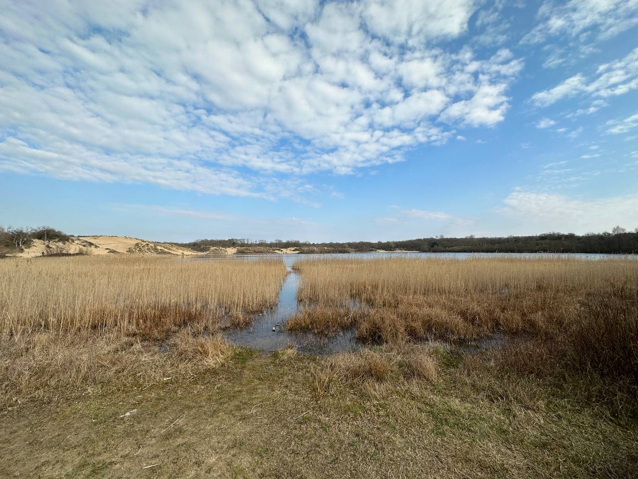 Zuid-Kennemerland National Park #cinematiclife
