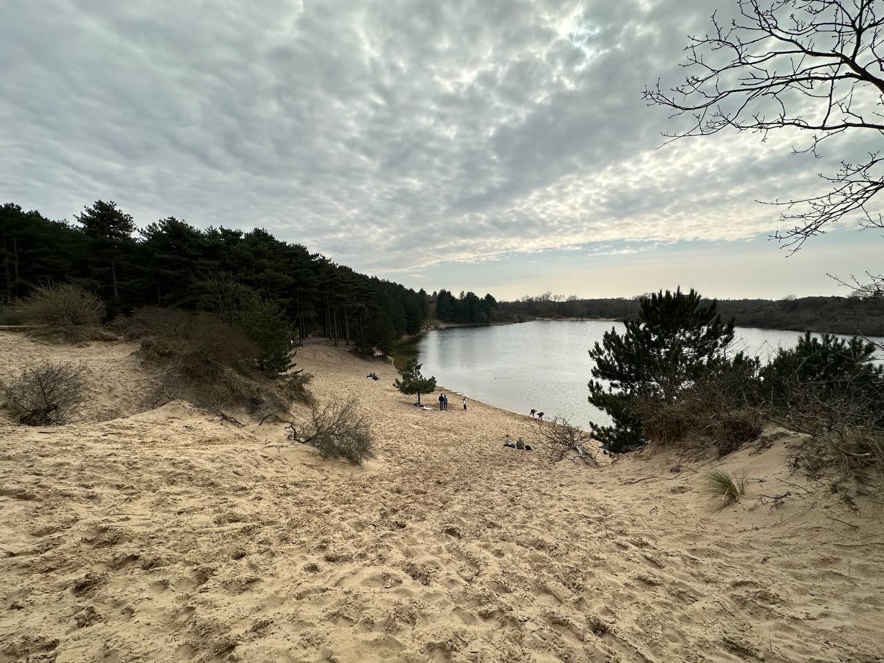Zuid-Kennemerland National Park #cinematiclife